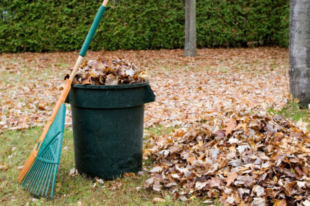 Cost-Effective Mulching With Leaves Image